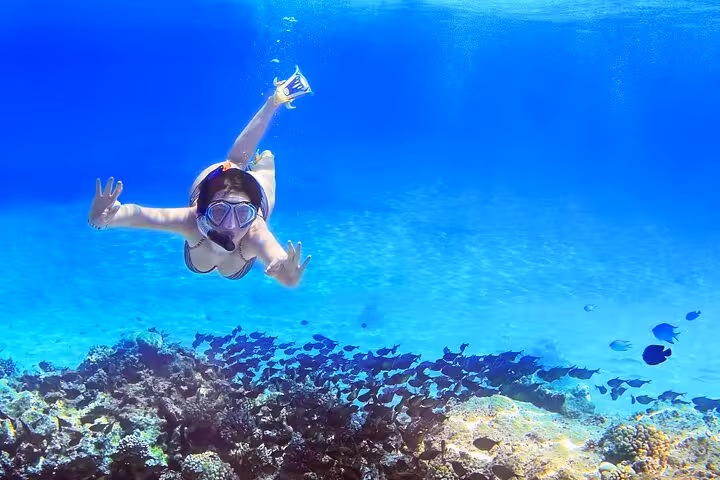 Woman snorkeling over vibrant Sataya Reef corals in Marsa Alam, Red Sea dolphin snorkel cruise with lunch