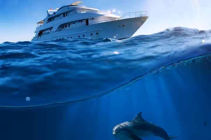 Yacht above Sataya Reef with dolphin below, Marsa Alam Red Sea dolphin snorkel cruise and lunch boat trip