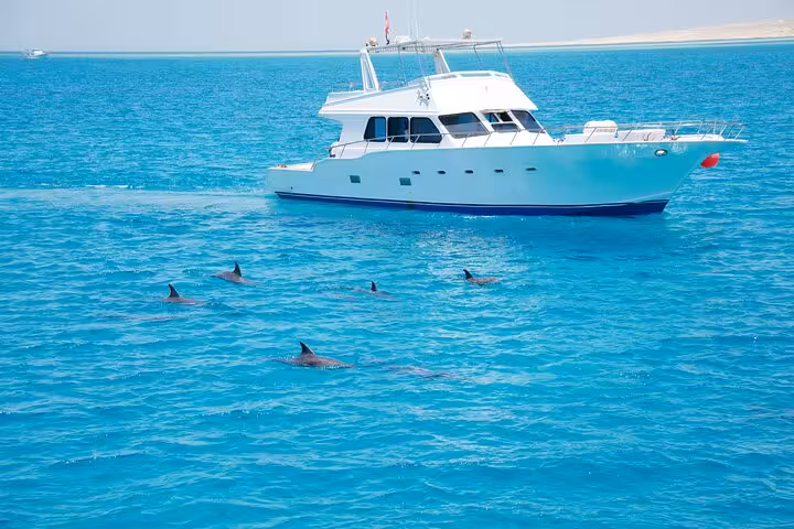 Boat cruising near a dolphin pod at Sataya Reefs, Marsa Alam Red Sea dolphin snorkel trip with lunch on board