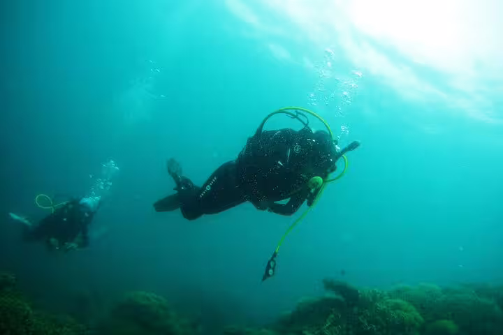 Divers exploring coral reef on Satayh Dolphin Reef excursion, Marsa Alam Red Sea snorkeling and diving trip