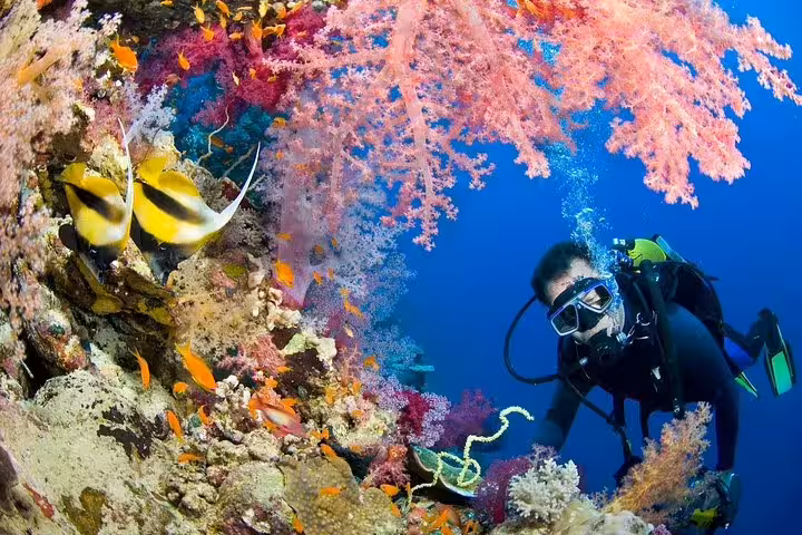Scuba diver exploring colorful coral reef and tropical fish on intro diving and snorkeling day trip