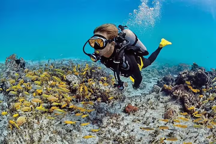Scuba diver over vibrant Ras Mohamed reef in the Red Sea on VIP boat tour to White Island from Sharm El Sheikh