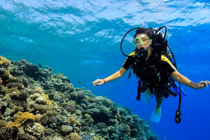 Scuba diver exploring vibrant coral reefs in the Red Sea, highlighting Egypt's thrilling underwater adventures.