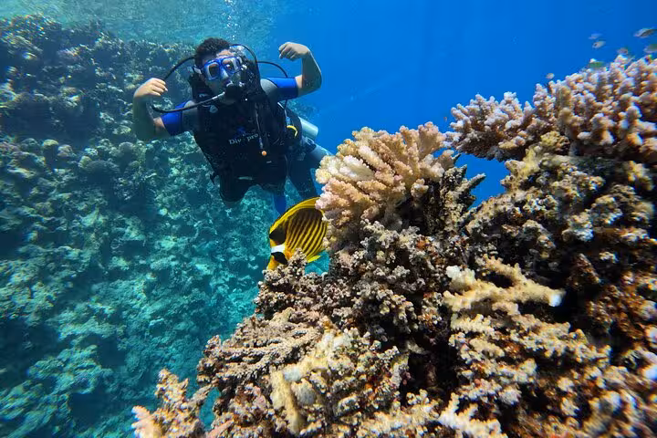 Scuba Diving Discovery Experience with new diver hovering by colorful coral and butterflyfish in crystal-clear sea