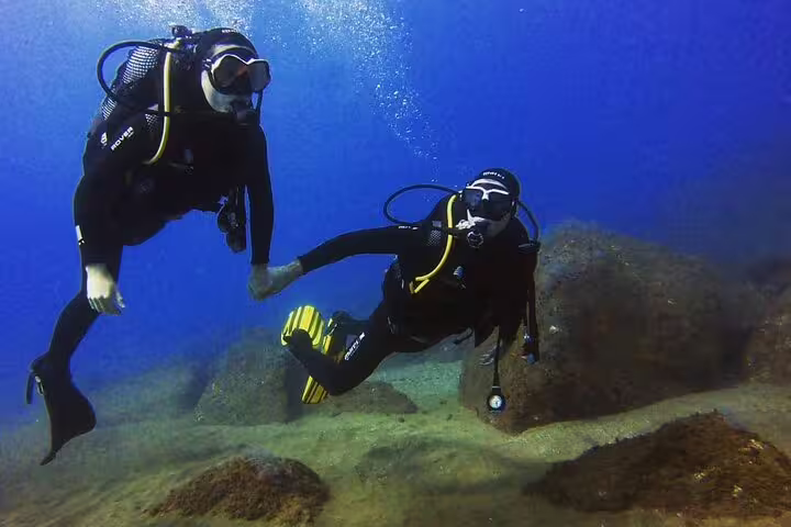 Two scuba divers explore vibrant underwater landscapes in Funchal, Madeira, perfect for adventure and marine life enthusiasts.