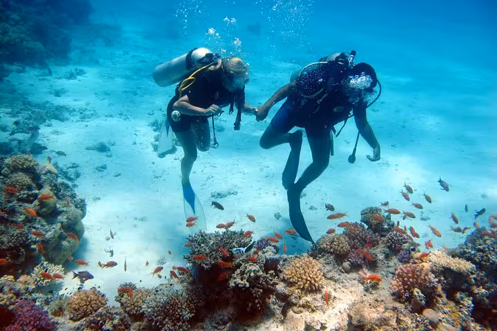 Two scuba divers over vibrant coral reef in Hurghada, Red Sea, with colorful fish on a beginner-friendly dive tour