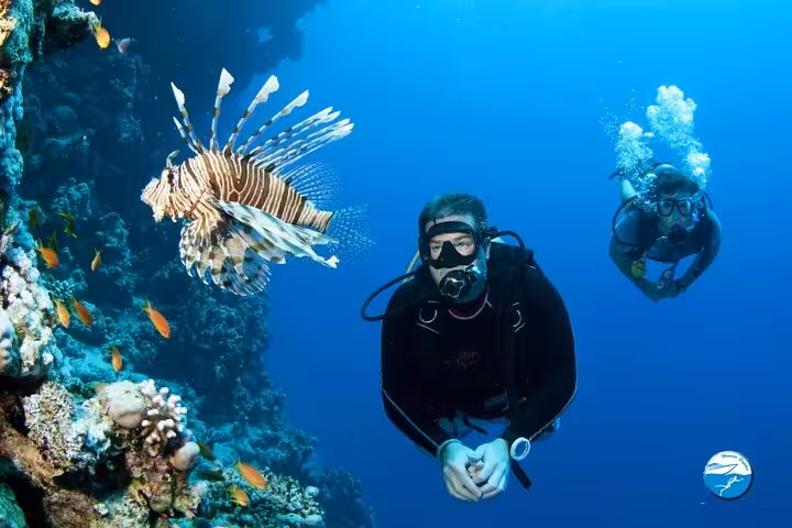 Scuba divers exploring Hurghada Red Sea coral wall with lionfish on a guided sea trip with lunch and transfer