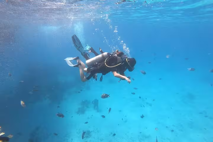 Scuba diver exploring Hurghada Red Sea in clear blue water, surrounded by tropical reef fish on a guided dive