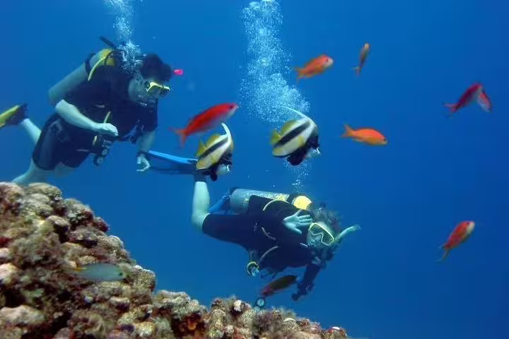 Two scuba divers surrounded by colorful fish in clear waters during a Kusadasi diving tour adventure.