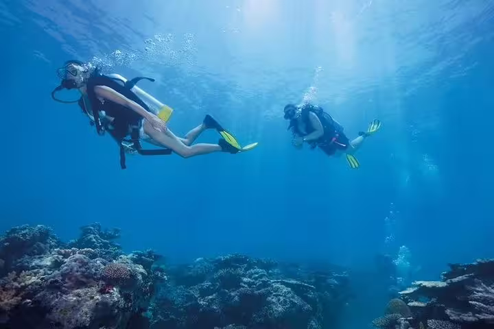 Two divers exploring the stunning underwater world of Kusadasi, Selcuk with vibrant marine life and coral reefs.