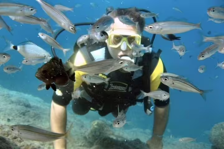 Scuba diver surrounded by a school of fish in the turquoise waters of Kusadasi, Selcuk marine adventure.