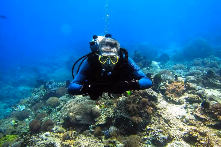 Scuba diver over Red Sea reef on Hurghada diving boat trip with hotel transfer and onboard lunch included