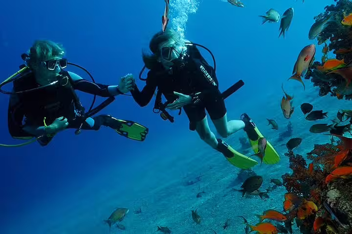 Buddy scuba diving beside vibrant Red Sea reef wall, part of Hurghada VIP boat snorkeling day tour