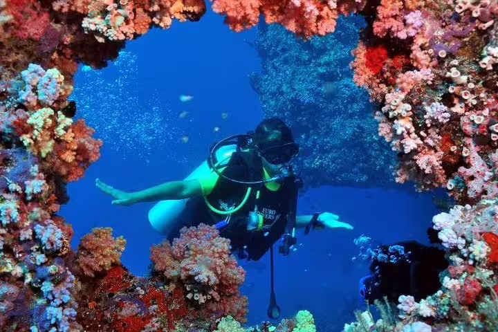 Diver explores vibrant coral formations on a scuba diving tour from Kusadasi, Selcuk in crystal-clear waters.