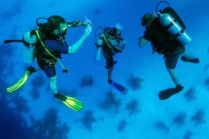 Group of divers explore the vibrant marine life on a guided scuba adventure from Kusadasi or Selcuk.