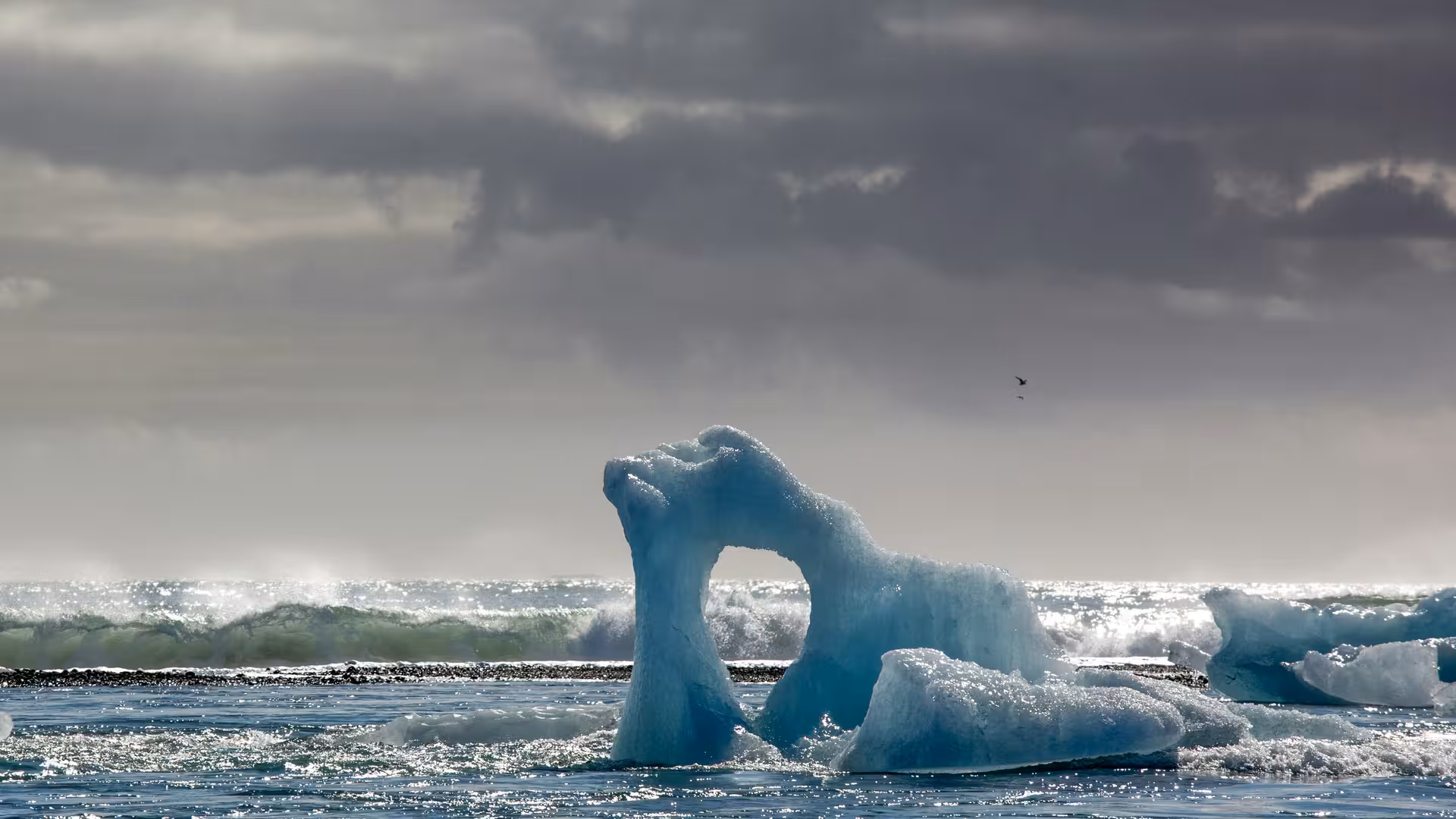 Sculpted blue iceberg with natural arch floating in waves at Diamond Beach Iceland