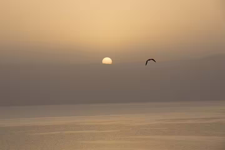 Sunset over the Sea of Galilee with a bird in flight, scenic stop on private day trip from Tel Aviv