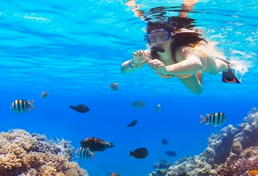 Snorkeler swimming over Red Sea coral reef with colorful fish on Seascope snorkeling trip from Hurghada