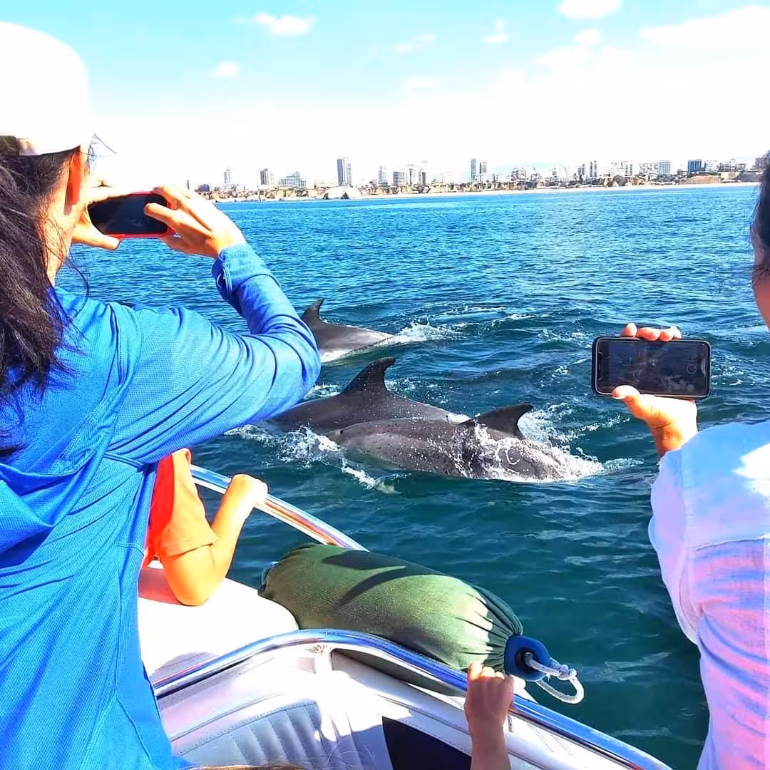 Family on Seasiren Private Tour 3H photographing playful dolphins swimming beside the boat off the sunny Algarve coastline