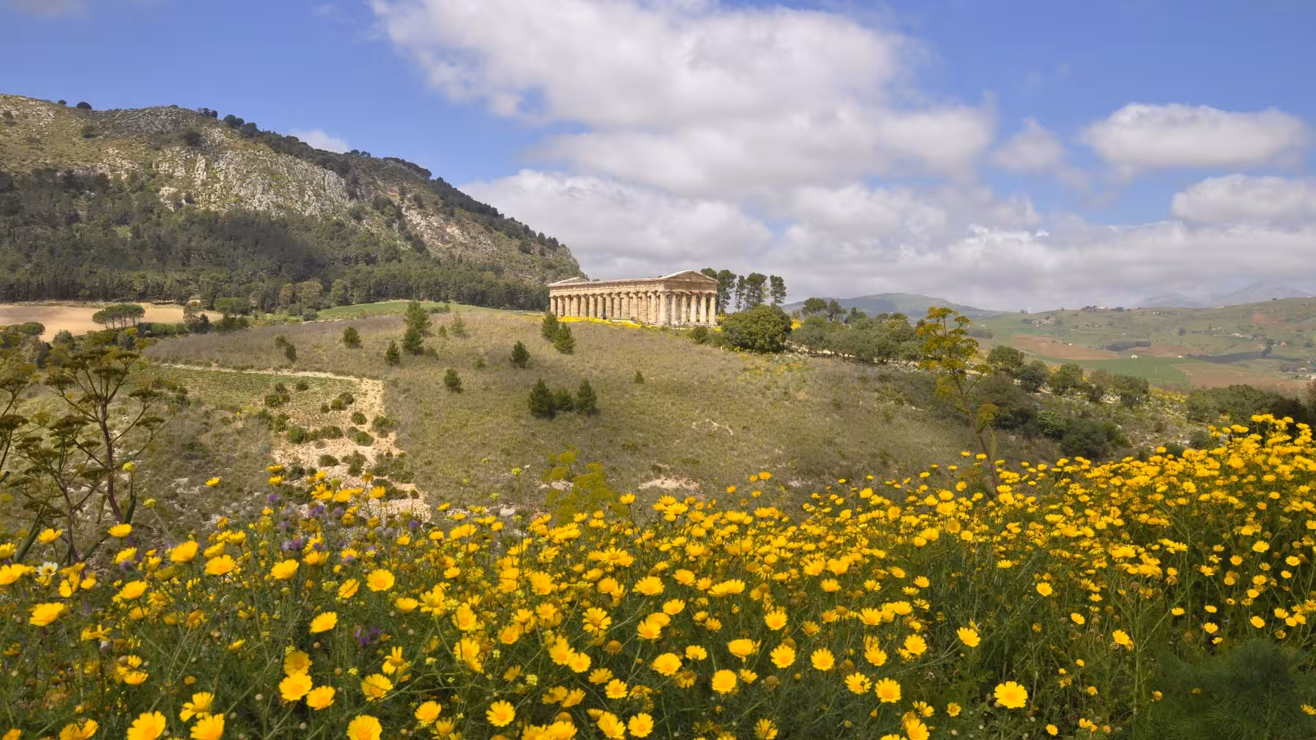 Scenic view of Segesta temple surrounded by lush green hills and vibrant wildflowers on an e-bike tour from Castellammare del Golfo.