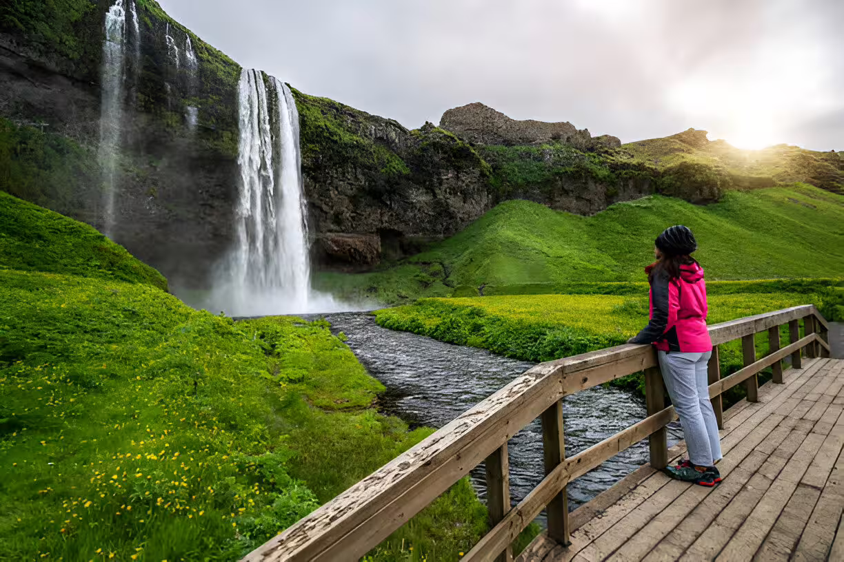 Traveler in pink jacket on wooden bridge admiring Seljalandsfoss waterfall on Iceland's green south coast