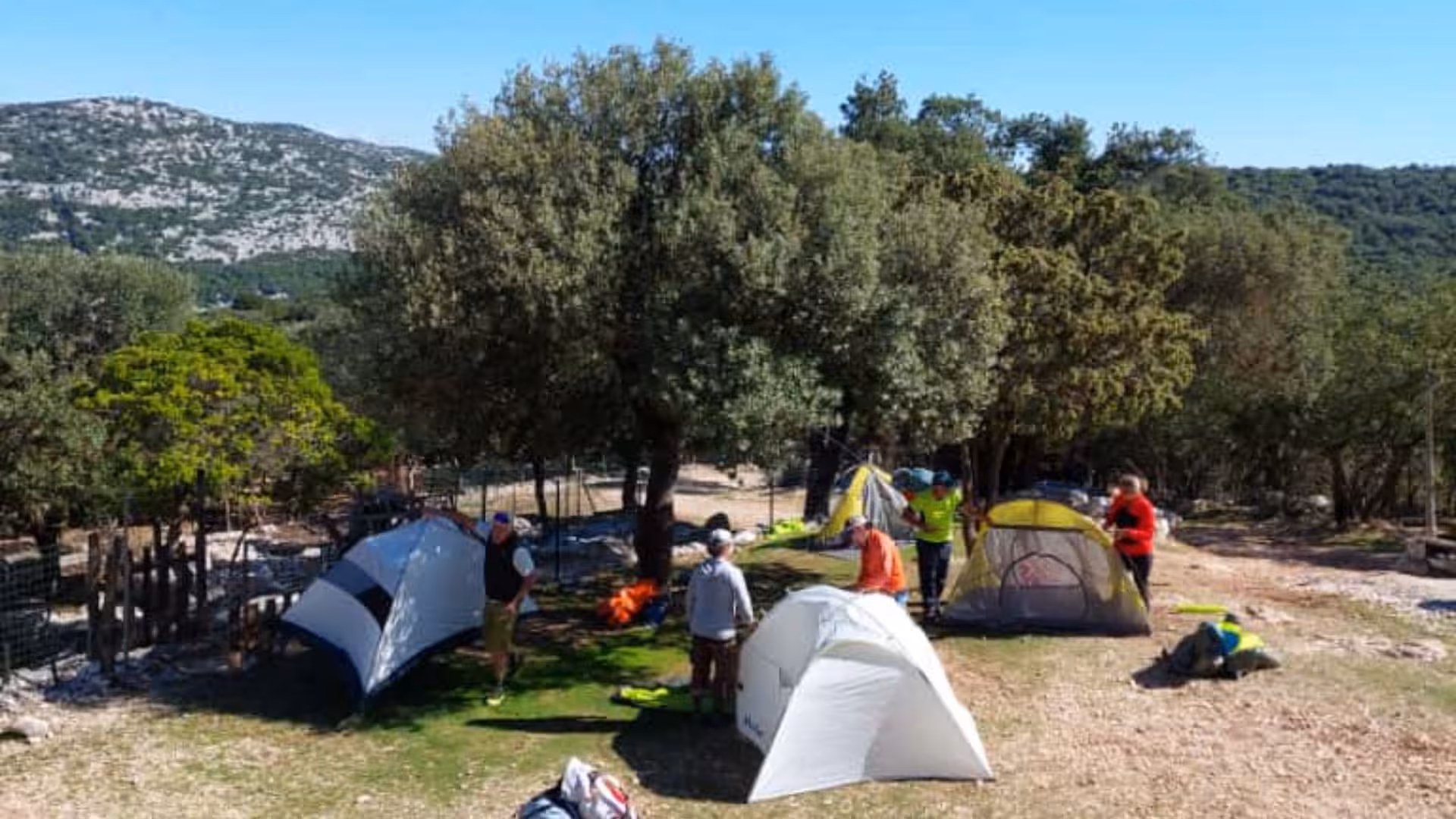 Campers setting up tents in a scenic forest clearing during the Selvaggio Blu 7-day trek.