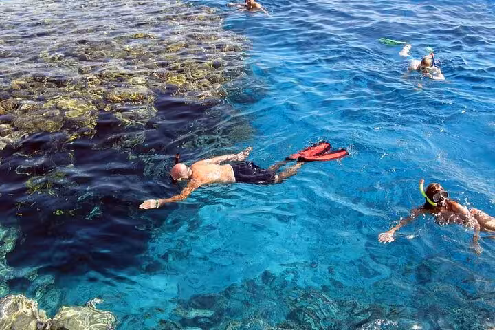Snorkelers floating above Red Sea reef in crystal water on semi submarine tour from Safaga, Soma Bay and El Gouna