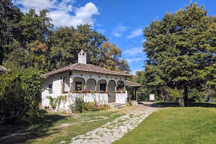 Charming traditional Serbian house surrounded by greenery, located near the Danube on a sunny day.