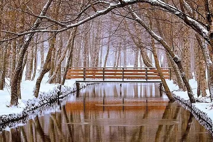 Snow-covered trees and a wooden bridge over a serene stream in Serra da Estrela during winter.