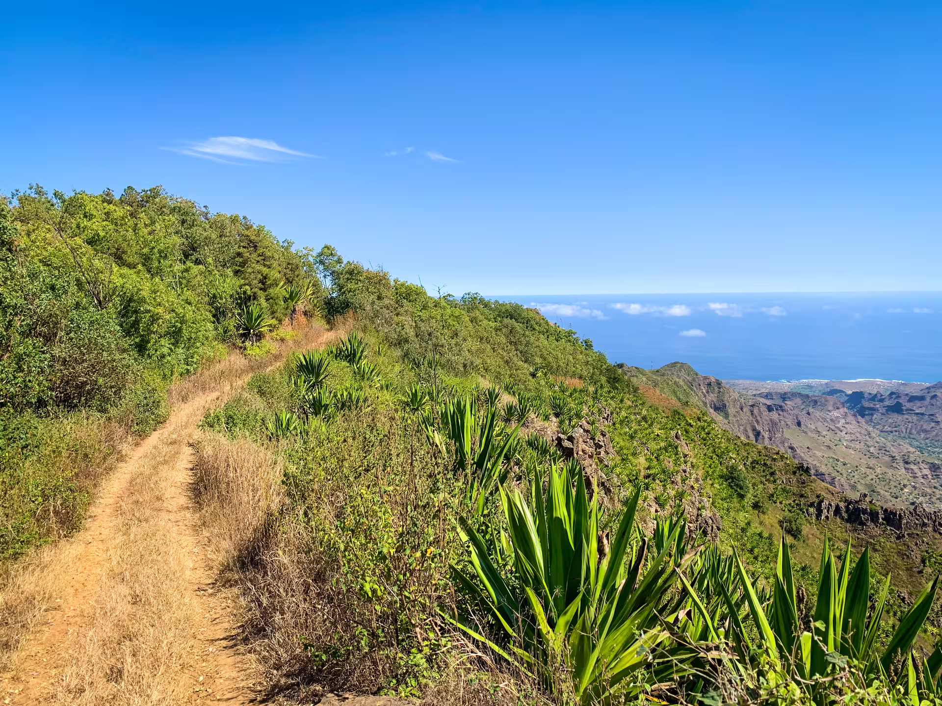 Scenic hiking trail with lush greenery and ocean views at Serra Malagueta Natural Park.