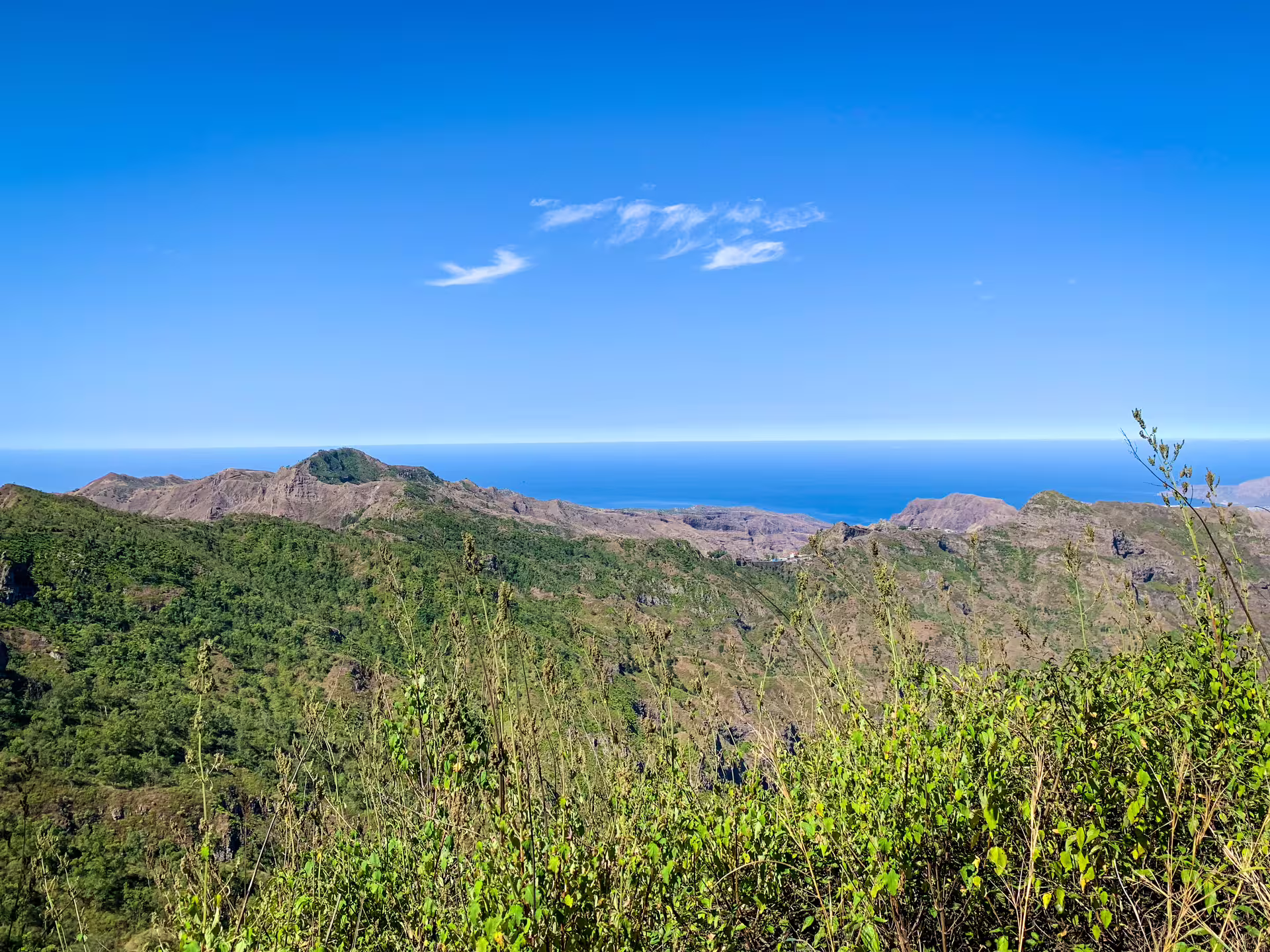 Expansive view of lush greenery and distant ocean from Serra Malagueta Natural Park, perfect for nature enthusiasts.