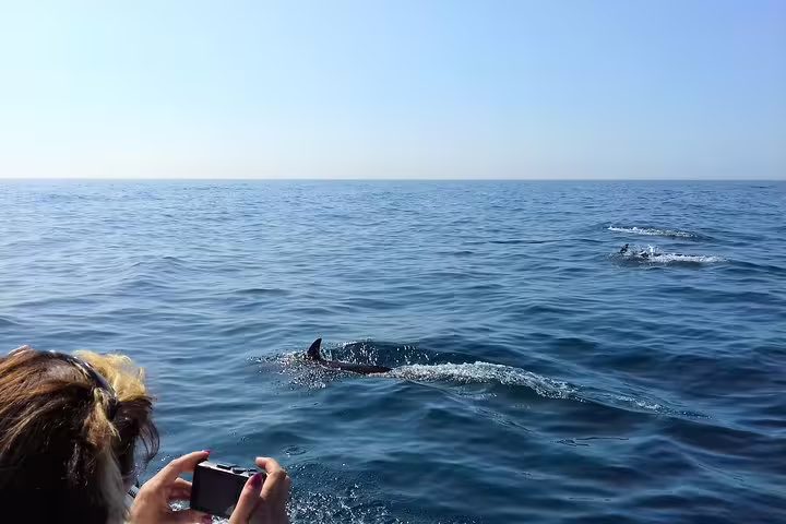 Person capturing dolphins swimming near a boat on a sunny day during a Sesimbra dolphin watching and boat tour adventure.