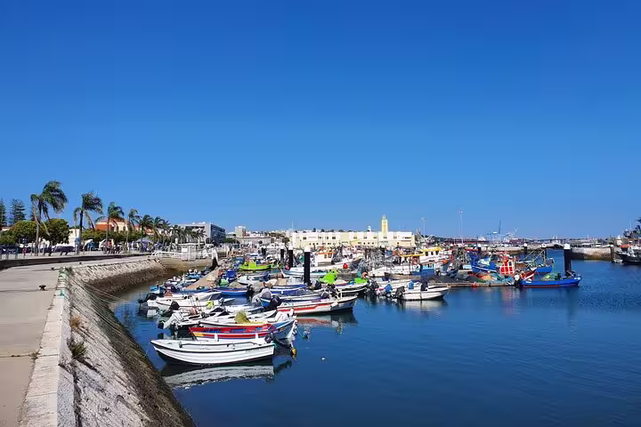 Colorful fishing boats docked in Setúbal Harbor under a clear blue sky, ideal for exploring on a full-day tour.