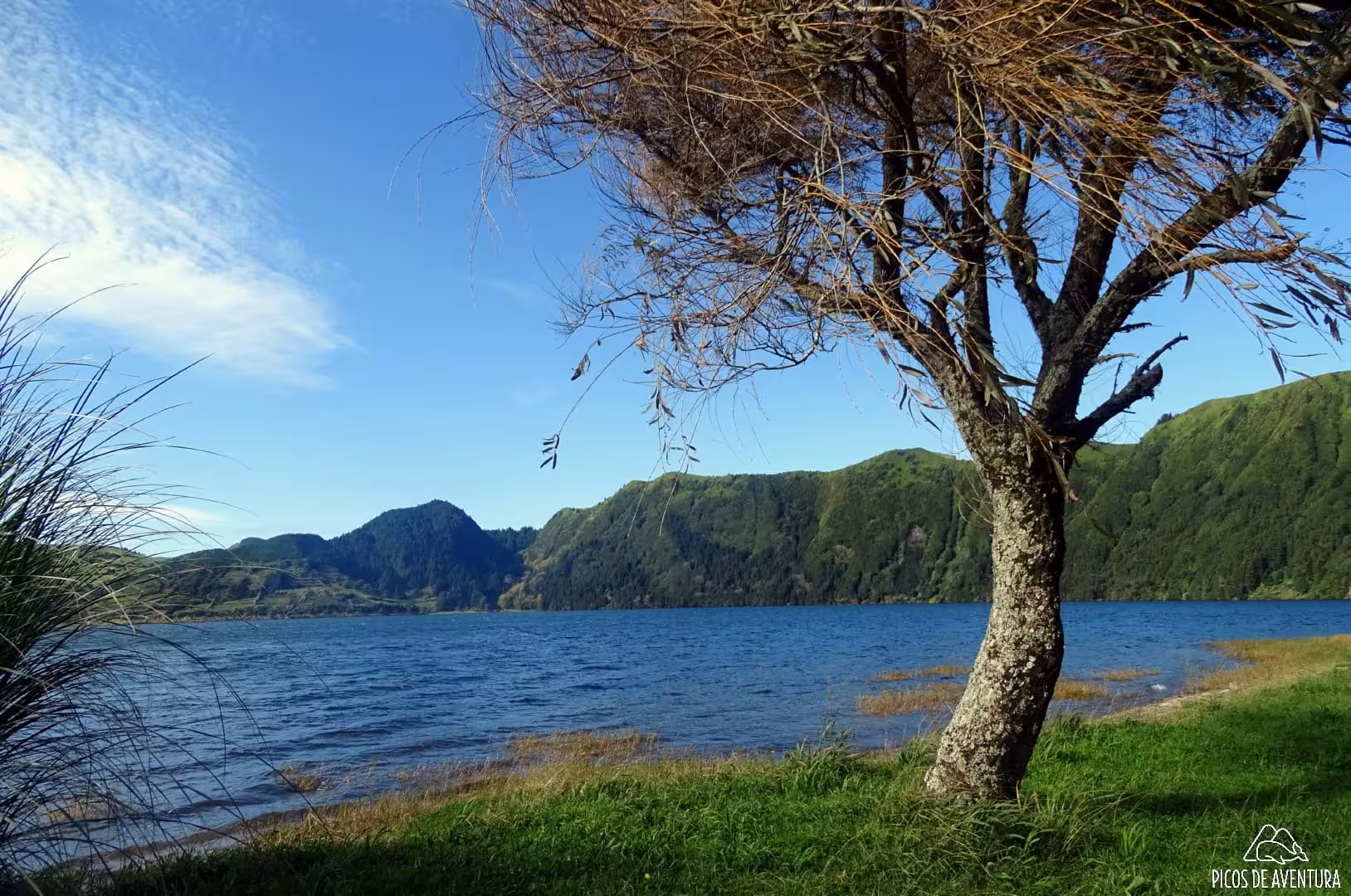 Lakeside view of Sete Cidades crater lake on São Miguel, Azores, on scenic van tour after dolphin swim