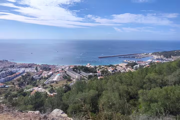 Breathtaking aerial view of Setúbal's coastline with lush greenery and expansive azure ocean views.