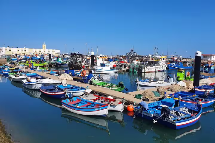 Colorful fishing boats docked at a vibrant Setúbal harbor, part of the Arrábida, Azeitão, Setúbal & Palmela tour.