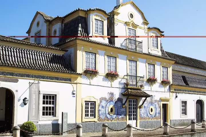 Historic Setúbal building adorned with traditional tiles, ideal for exploring the famous Moscatel wine region.