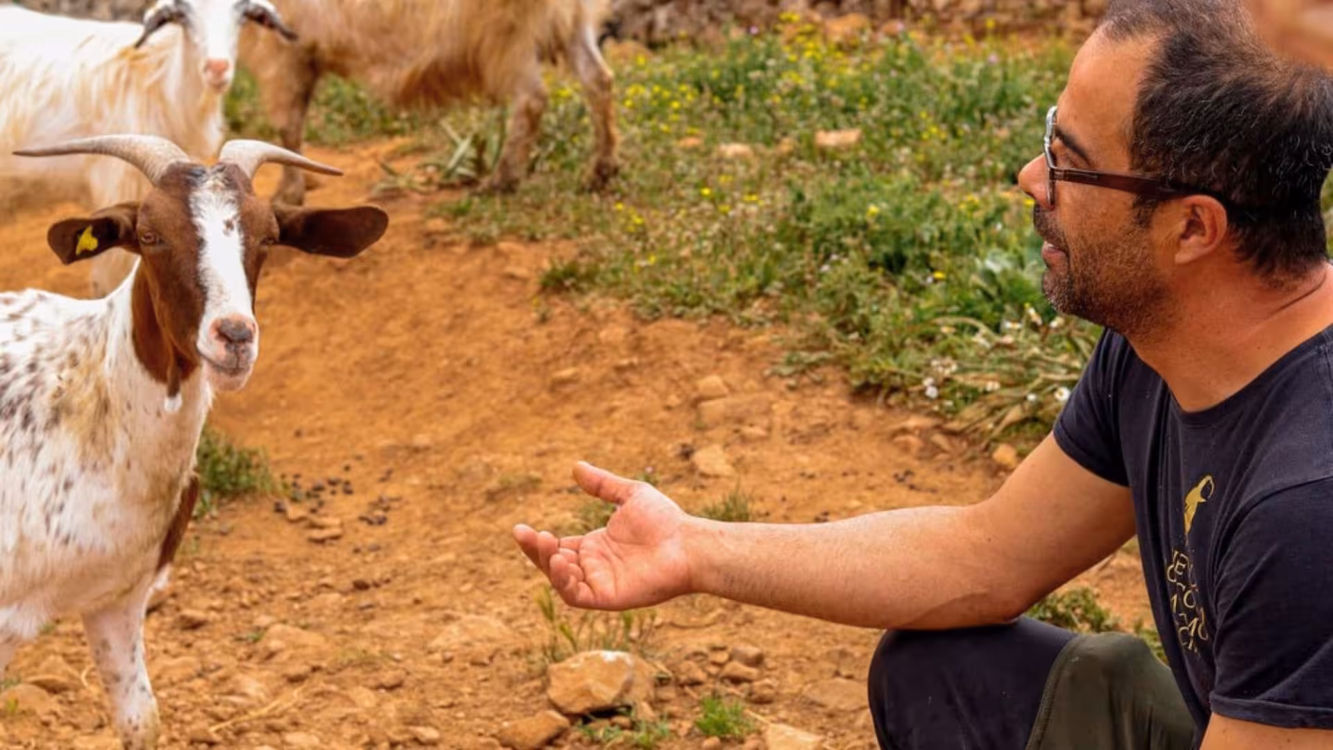 A friendly interaction between a farmer and a goat on a Seulo farm tour, showcasing Sardinian agriculture.