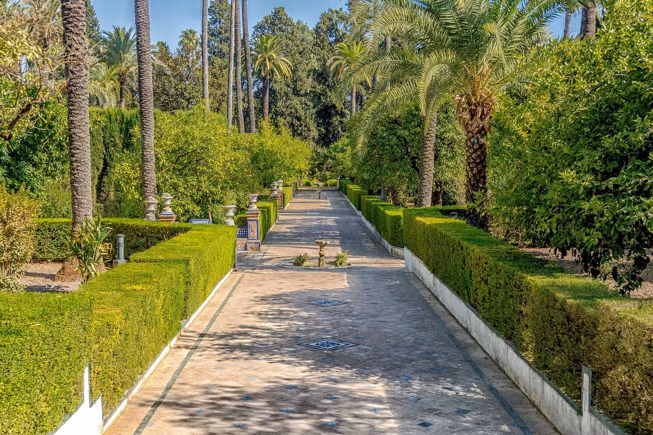 Lush green pathway lined with palm trees and hedges in the serene gardens of Seville's Alcazar.