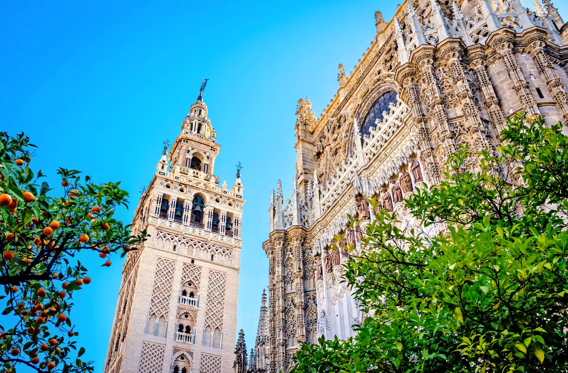 Stunning view of Seville Cathedral and Giralda tower against clear blue sky on Andalusia tour.
