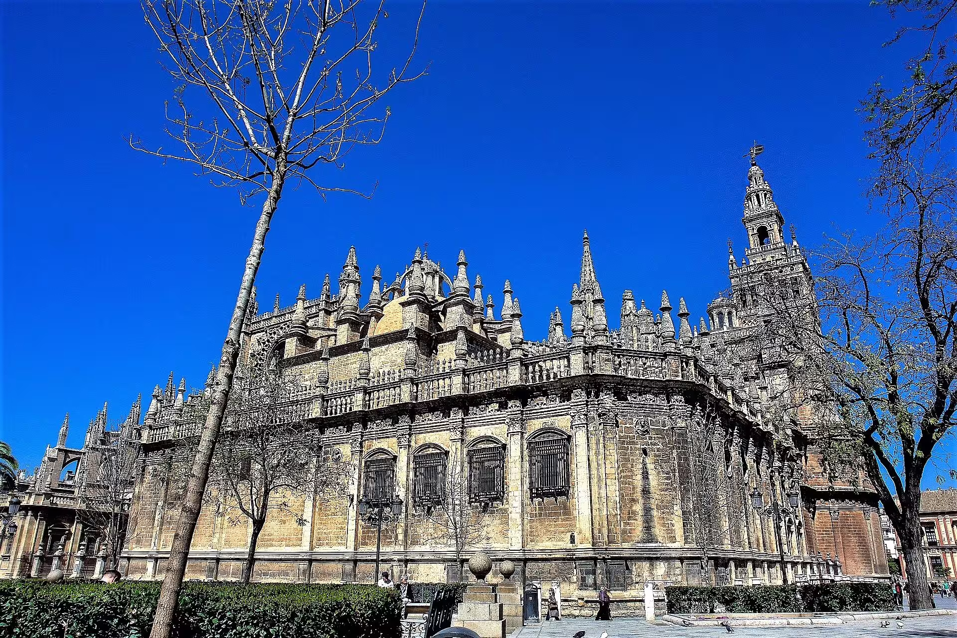 Seville Cathedral exterior and Giralda tower under blue sky, landmark on a Seville group walking tour