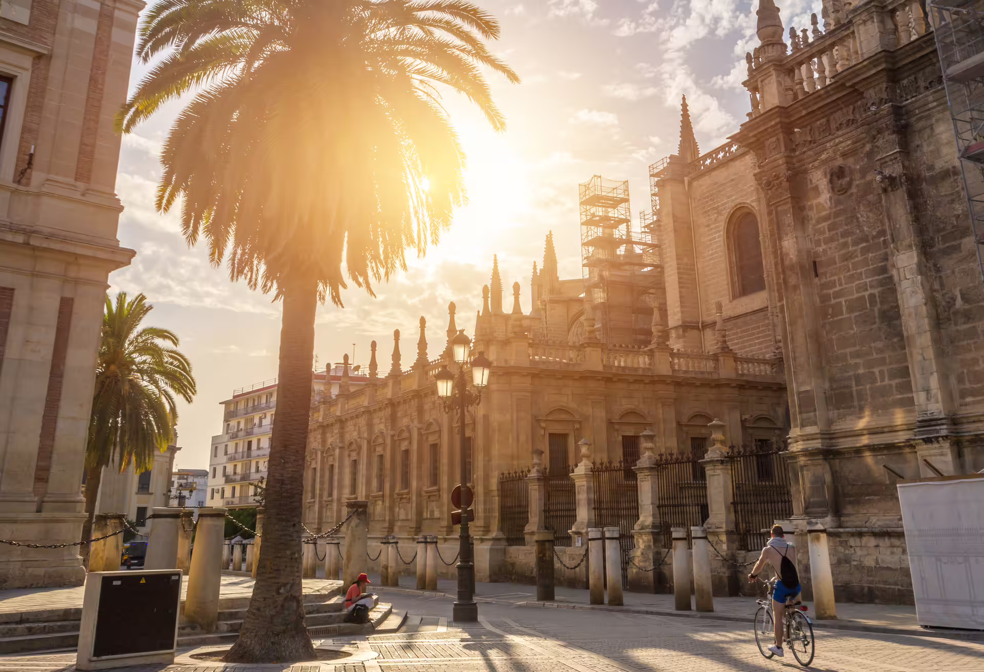 Sunlit view of Seville Cathedral with palm trees, perfect for a small group walking tour exploring historic Seville landmarks.