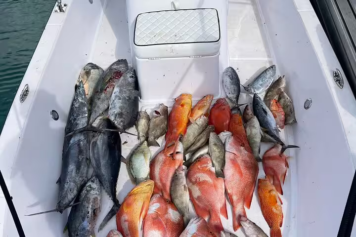 A bountiful catch of diverse fish species displayed on a boat deck during a Seychelles fishing tour experience.
