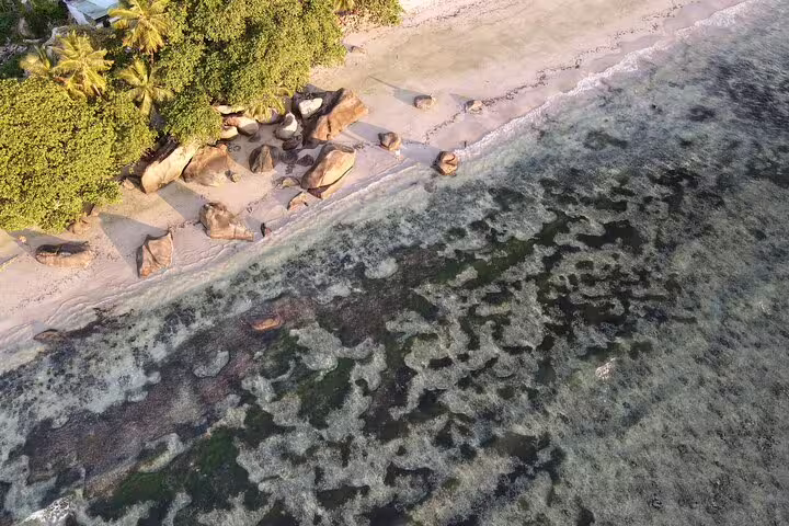 Aerial view of a serene Seychelles beach with granite boulders and lush greenery ideal for a private island tour.