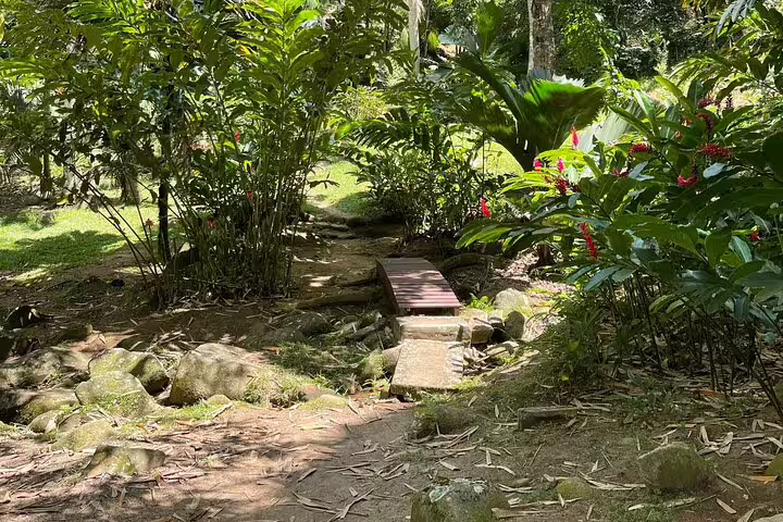 Tranquil garden path with lush greenery and vibrant red flowers on Seychelles Island Tour.