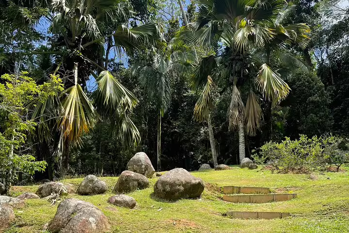 Scenic Seychelles jungle landscape with palm trees and smooth rocks, ideal for a serene private nature exploration.