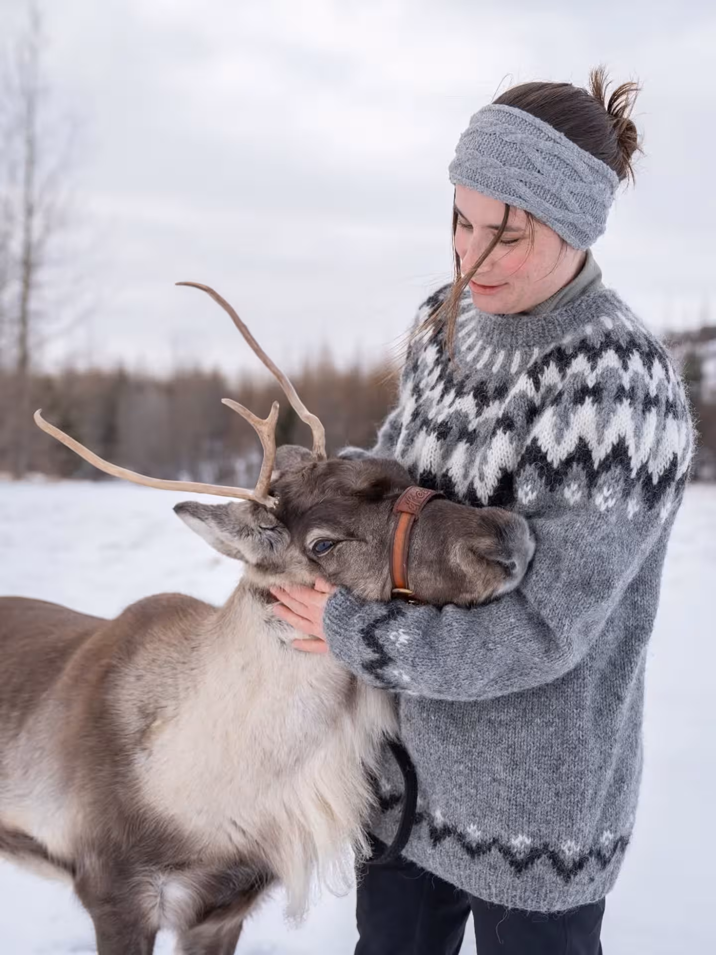 Woman in Nordic sweater gently petting a reindeer with antlers in snowy Icelandic landscape