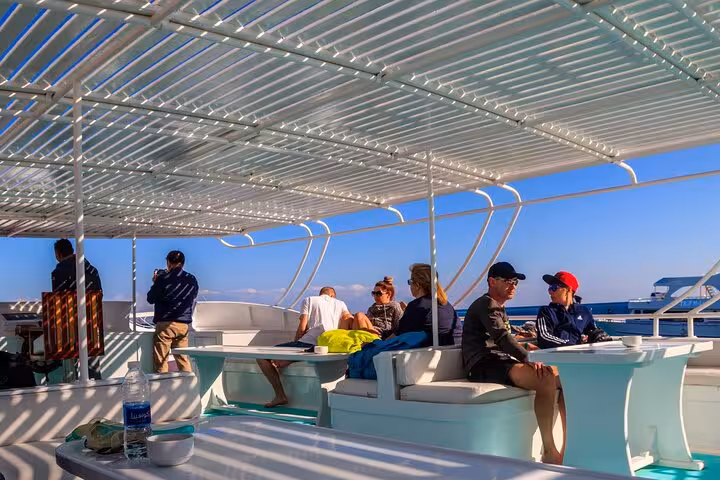 Shaded boat deck with guests cruising to Shaab Samadai Dolphin House for snorkeling tour from Marsa Alam