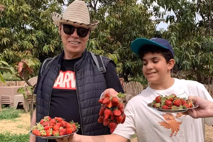 Family enjoying strawberry picking at Shagie Farms eco-tourism farm near Cairo, holding plates of fresh berries