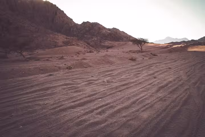 Rippling Sinai desert dunes at sunset on Sharm El-Sheikh ATV quad safari route with mountain views